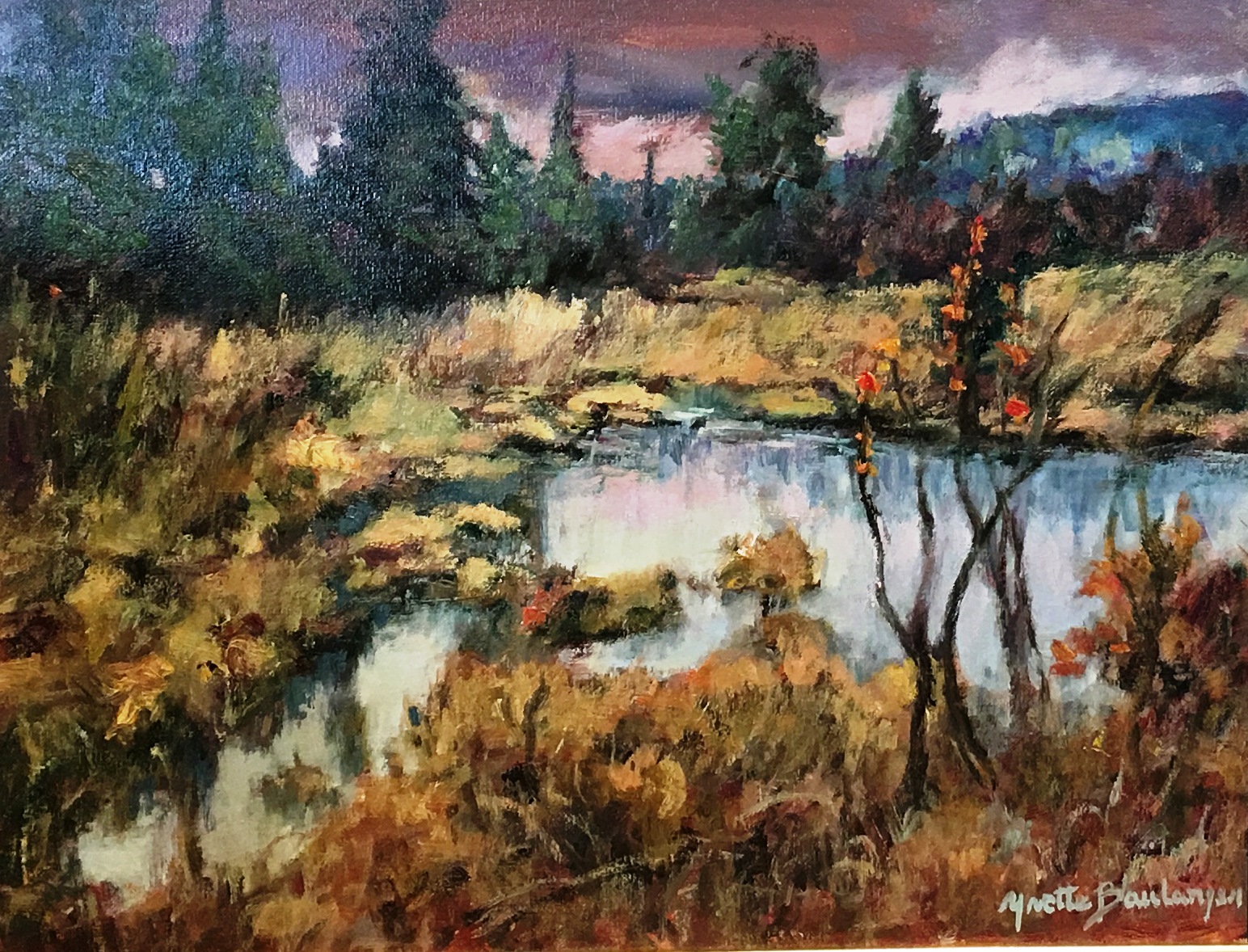 Les marais de Stoneham en automne