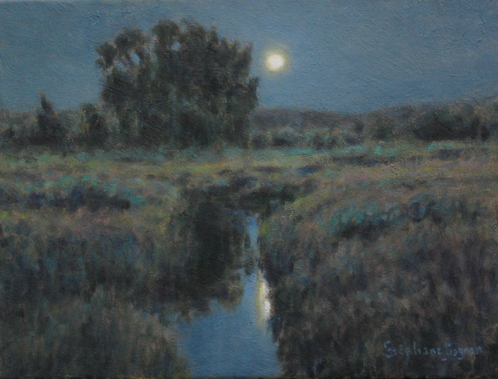 Belle de nuit