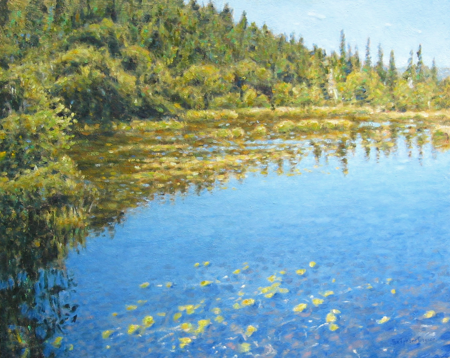 Le grand marais