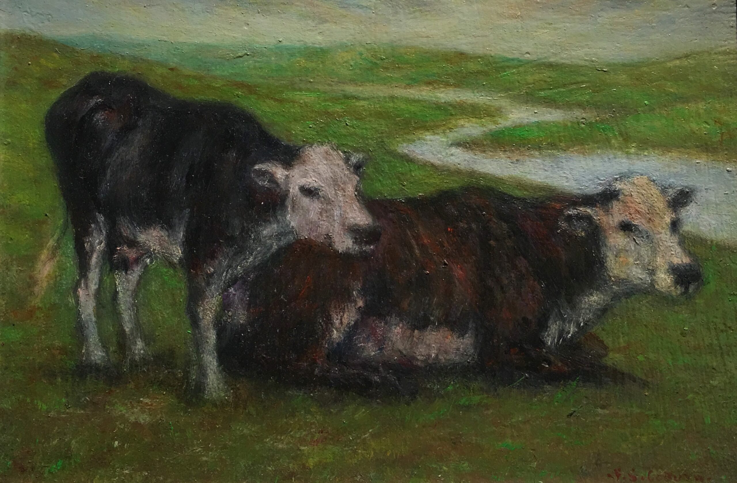 Cows in a field