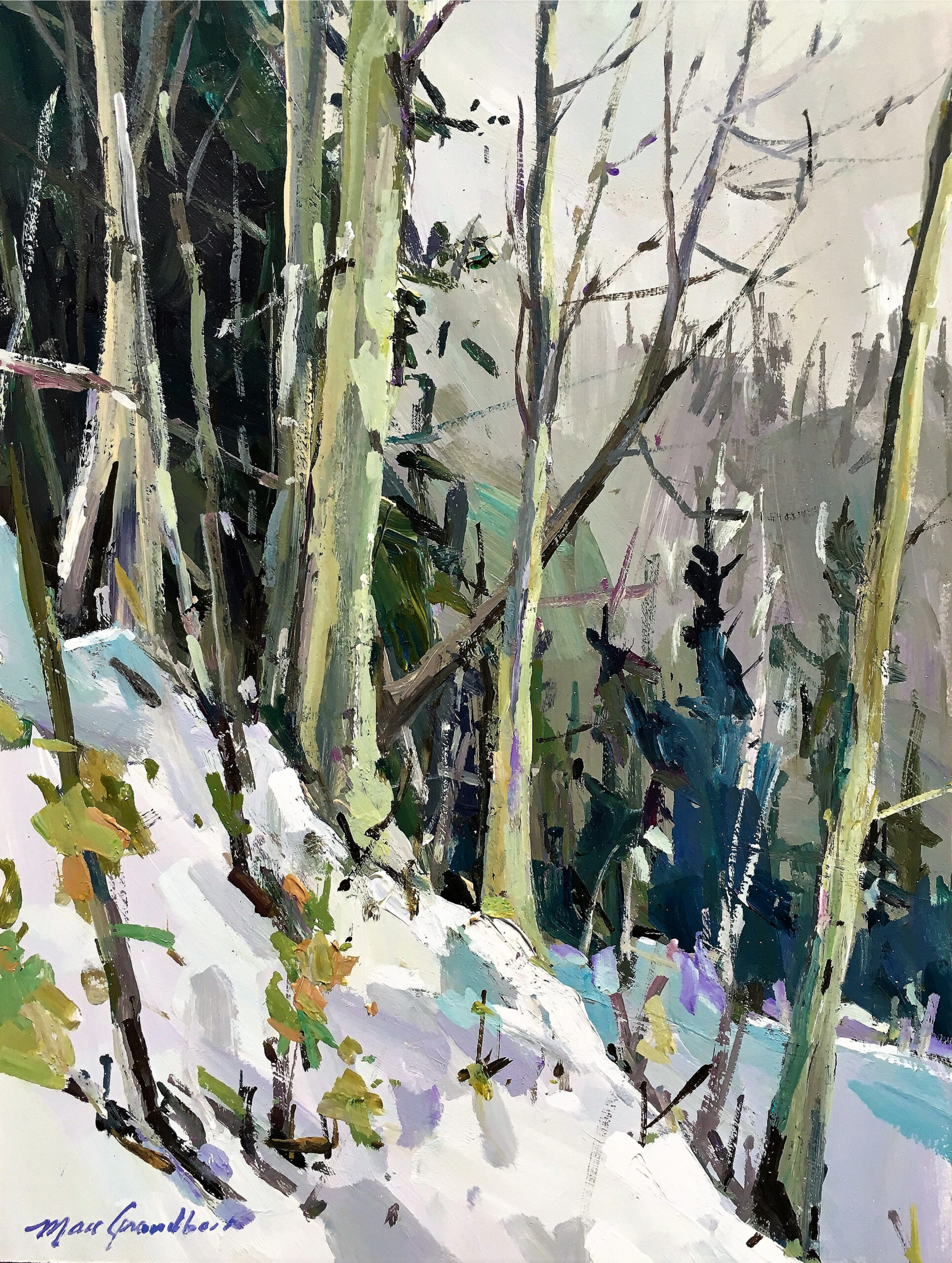 Hiver dans le Rang St-Thomas
