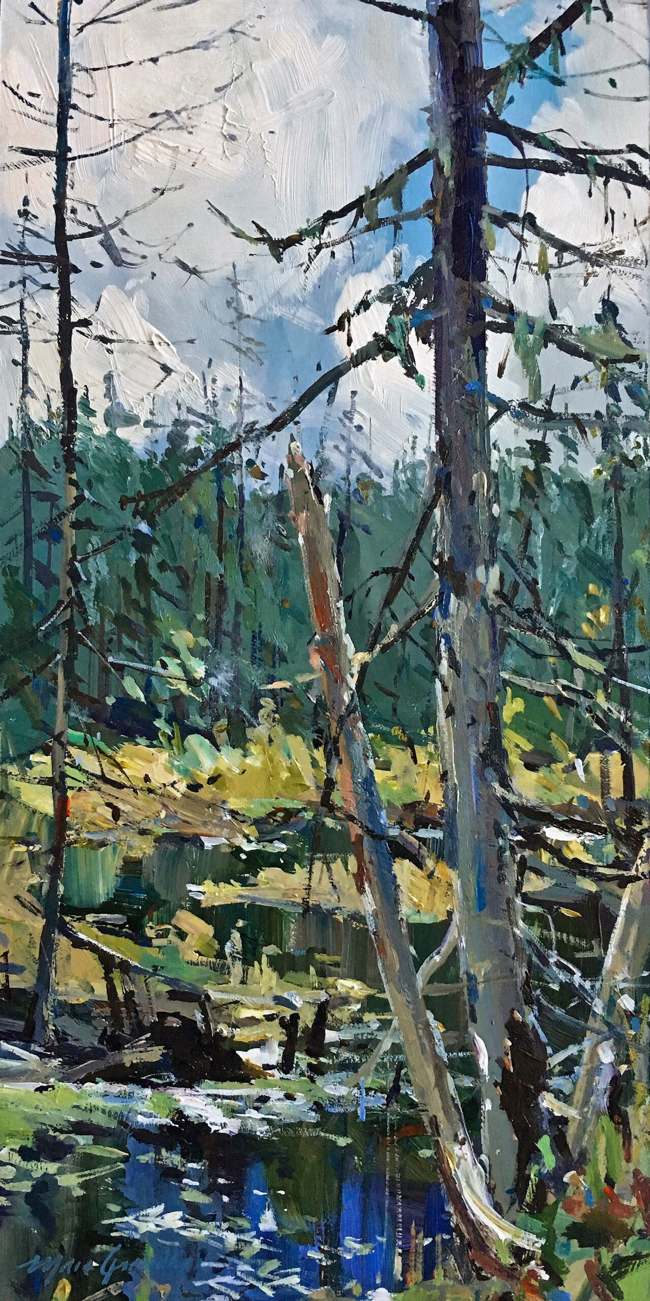 Septembre sur l’étang caché 2