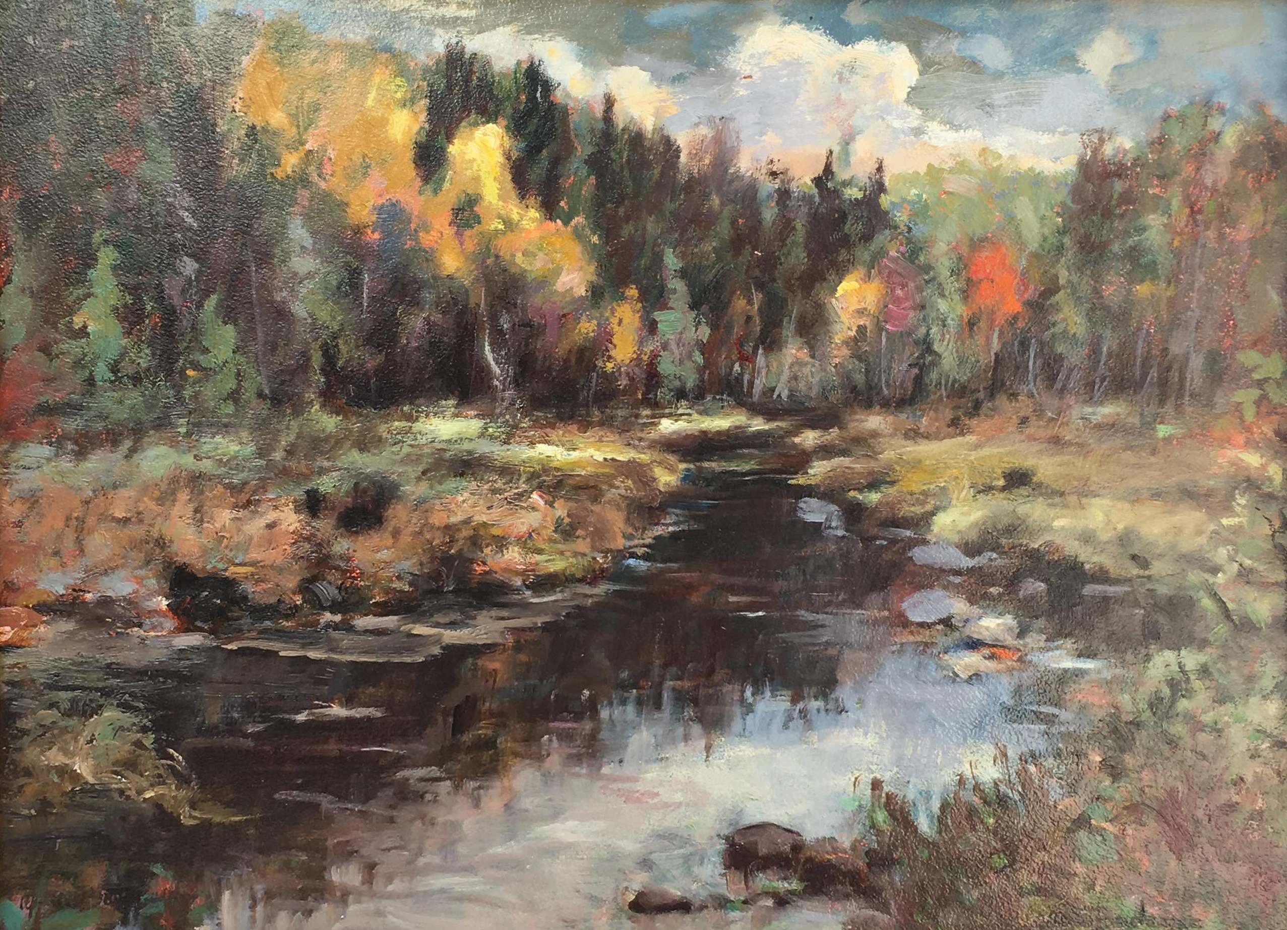 Marécage Lac aux Bois-Francs, Rivière-Rouge
