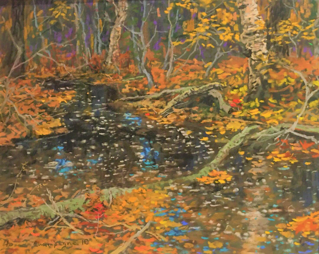 Forest Reflections
