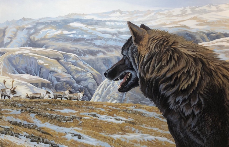 La tentation – loup noir