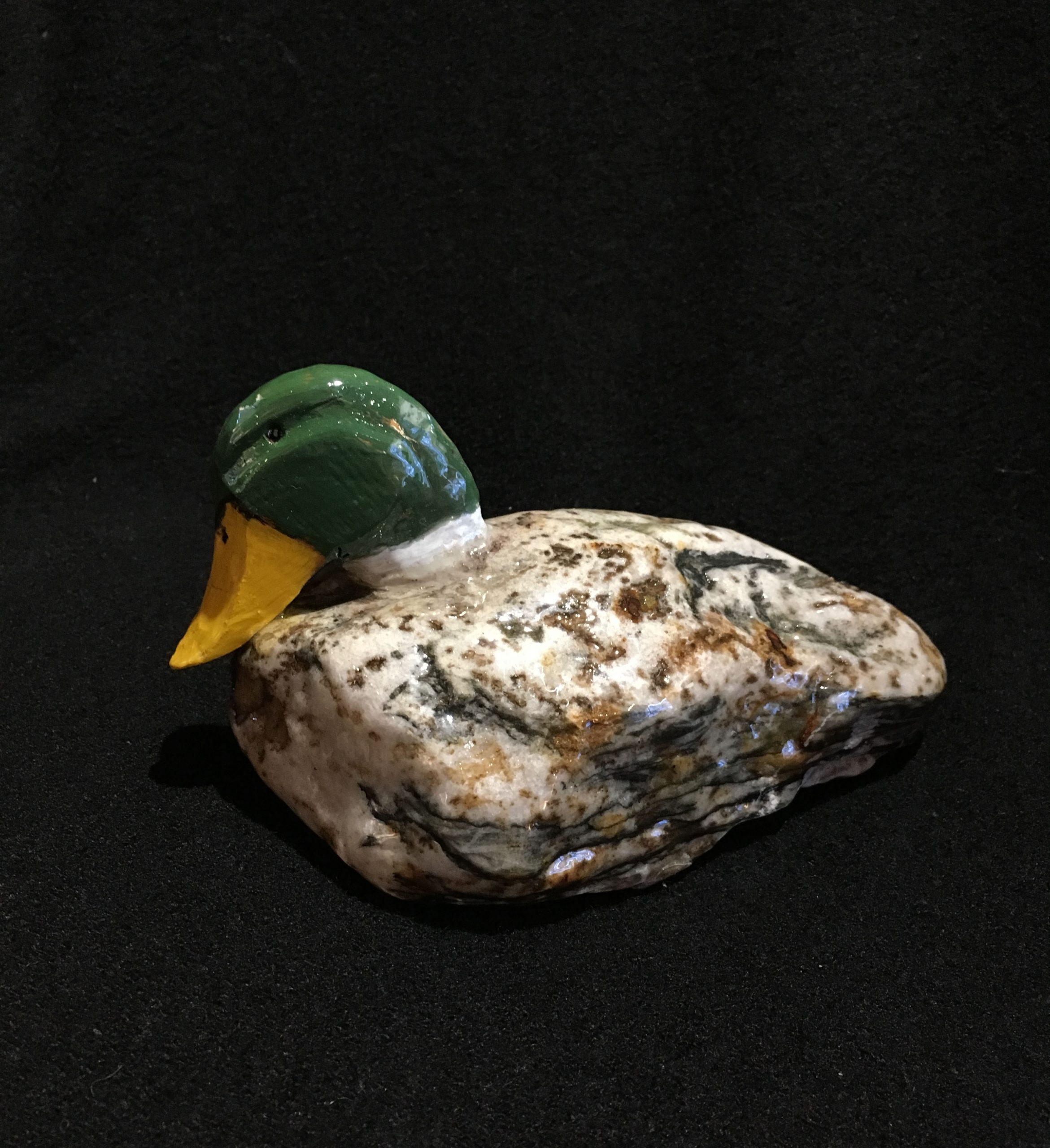 Canard 6