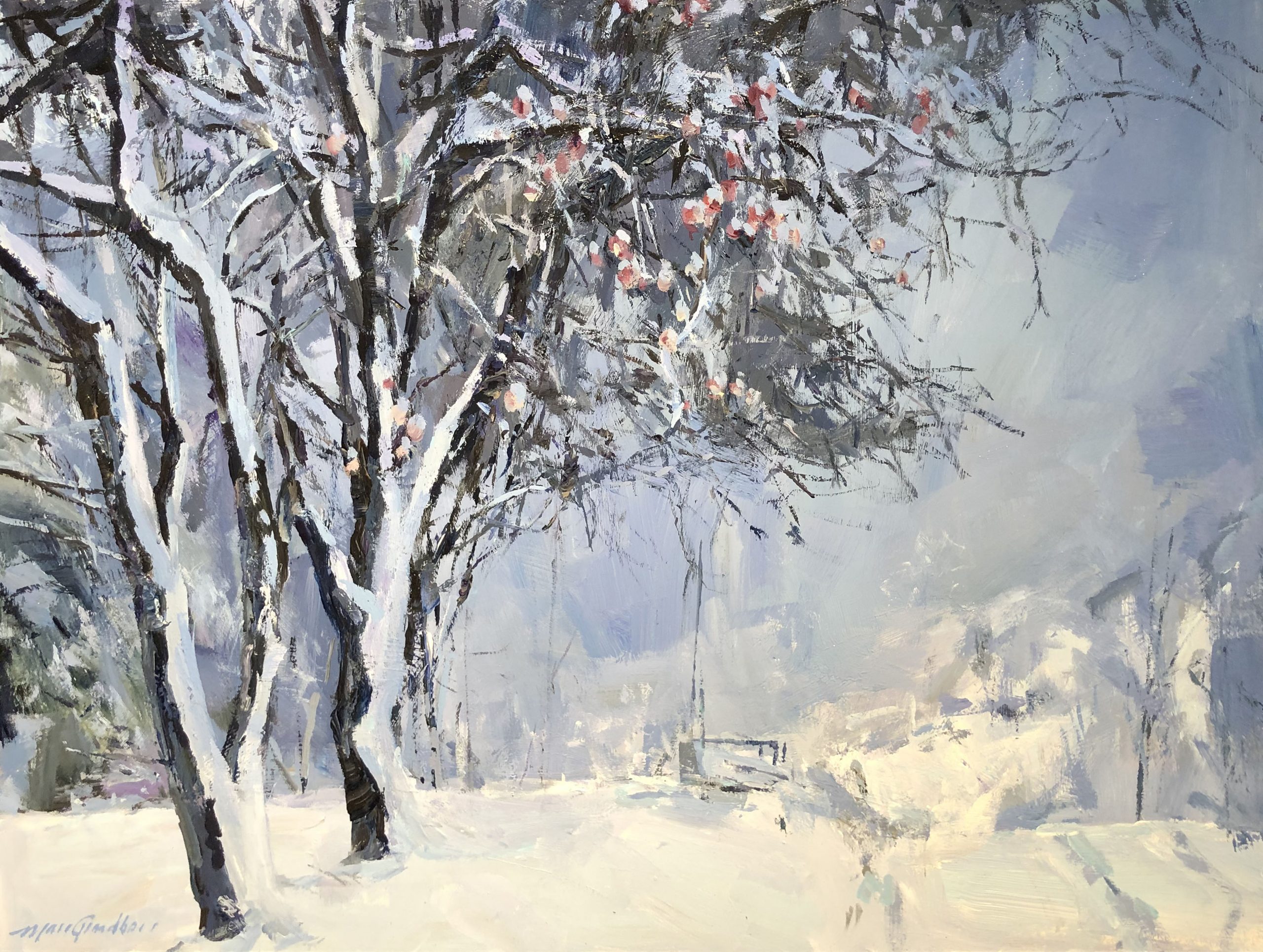 Pommiers sous la neige