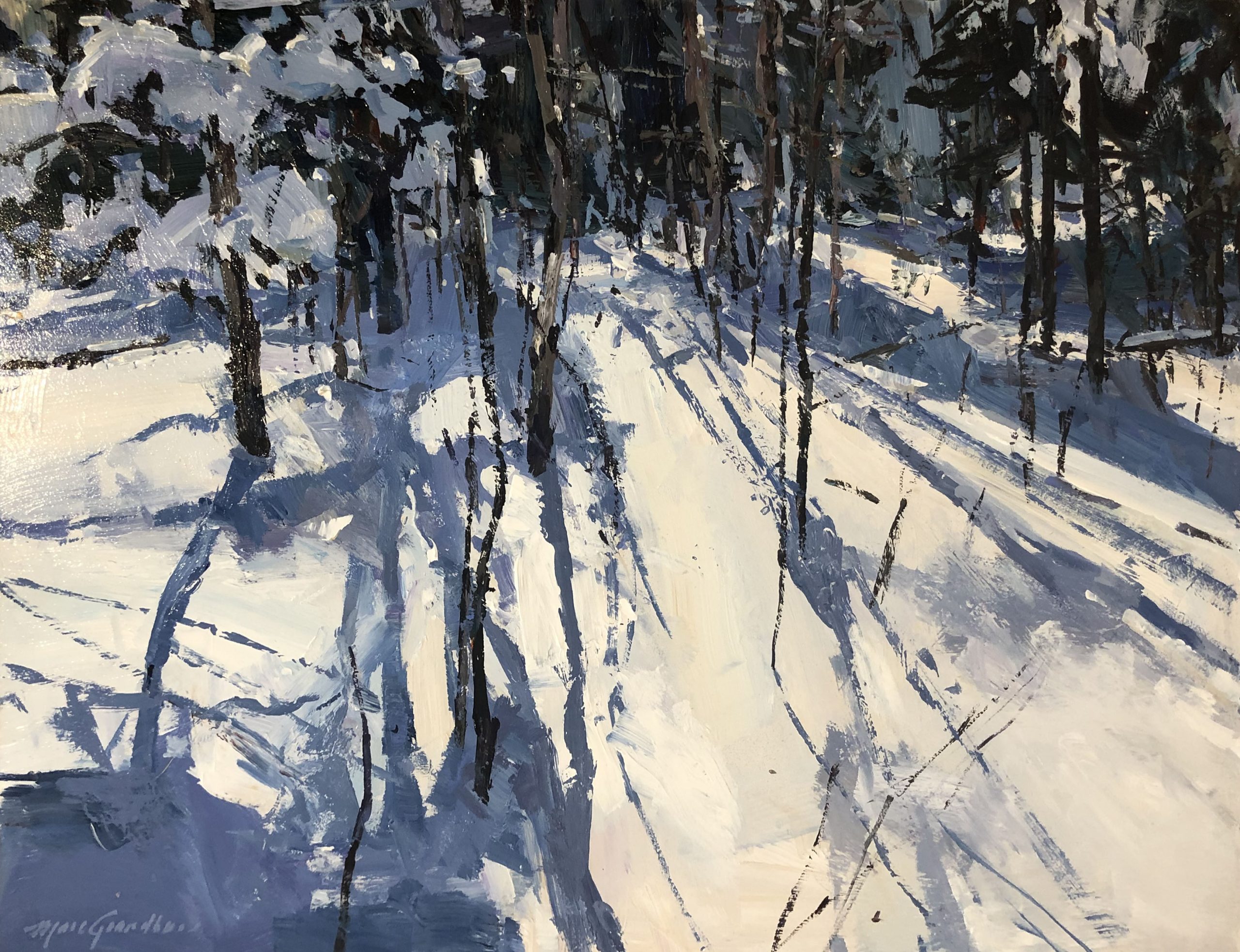Le soleil dessine sur la neige
