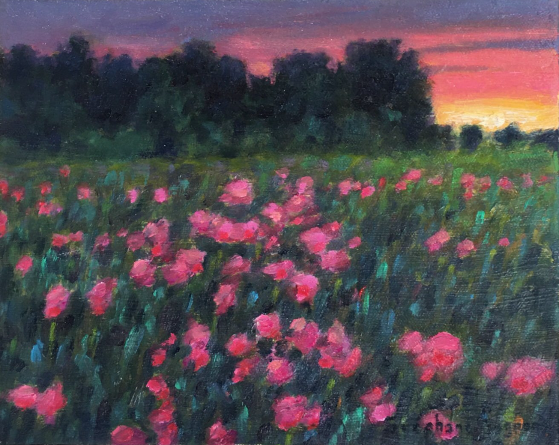 Roses du soir
