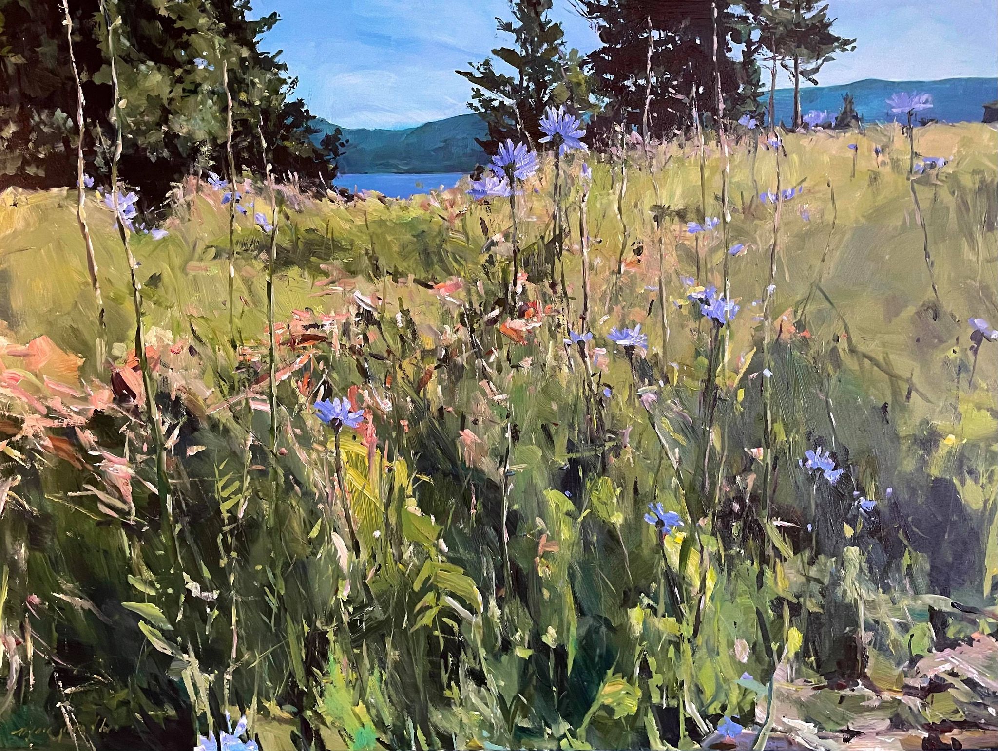 Folles fleurs, l’Anse-St-Jean