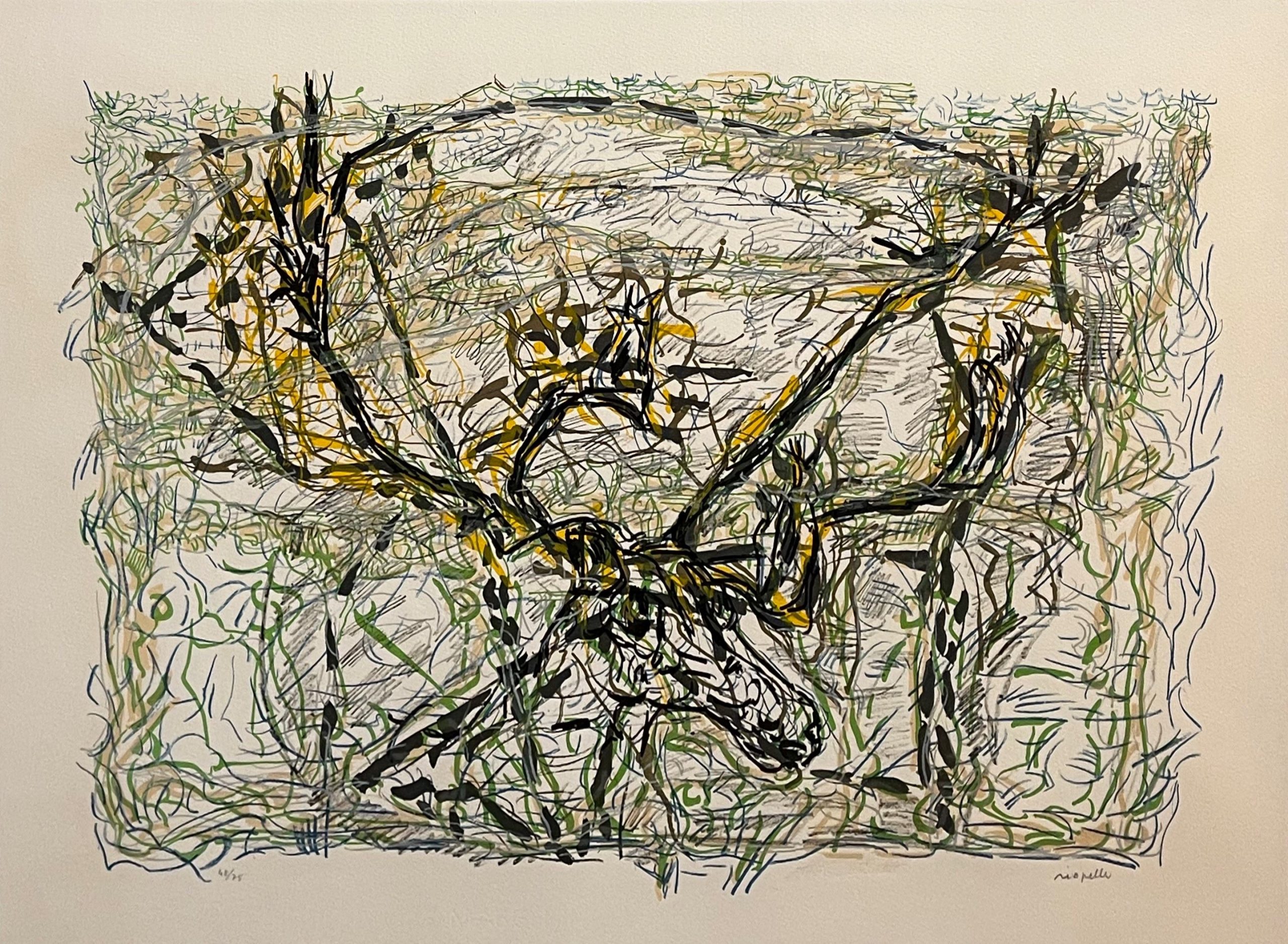 Caribou