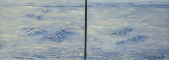 Oiseaux blancs
