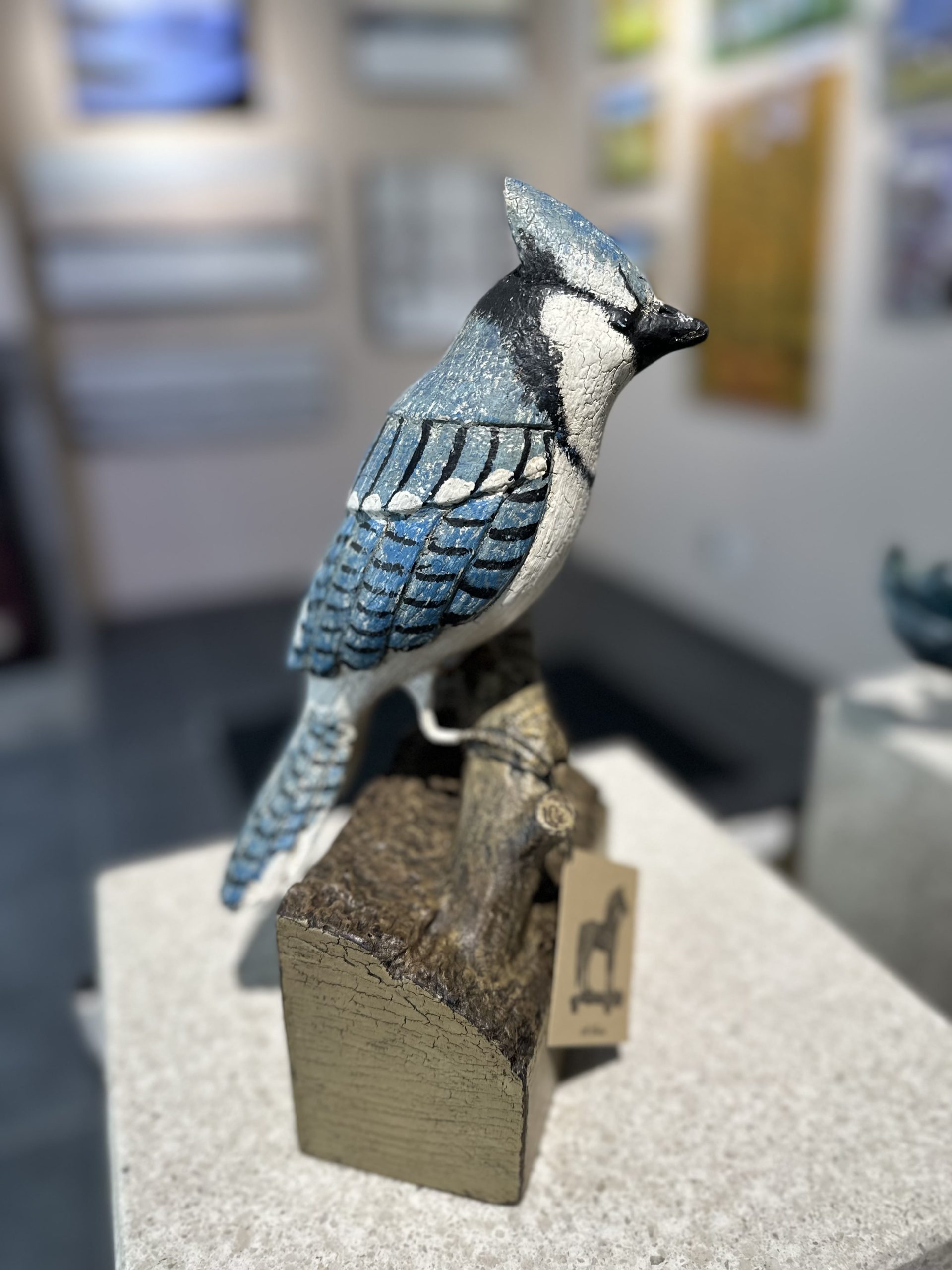Geai bleu