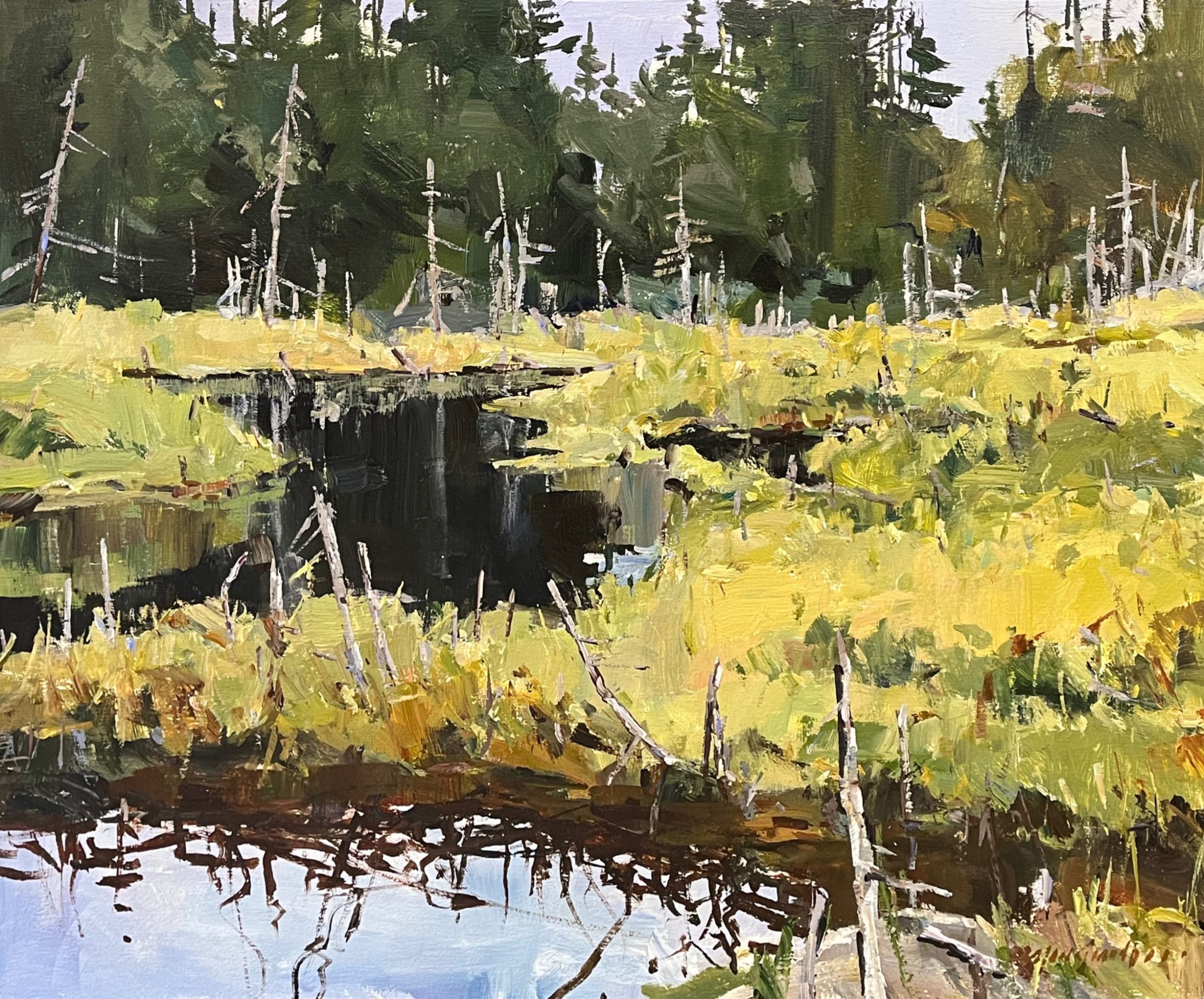 Tourbière Kennedy Lakes