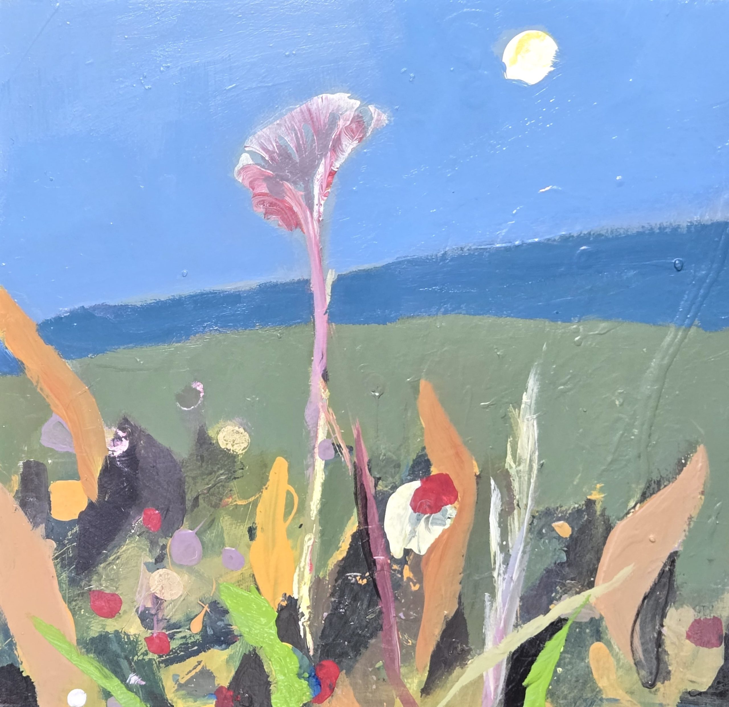 Fleurs de lune