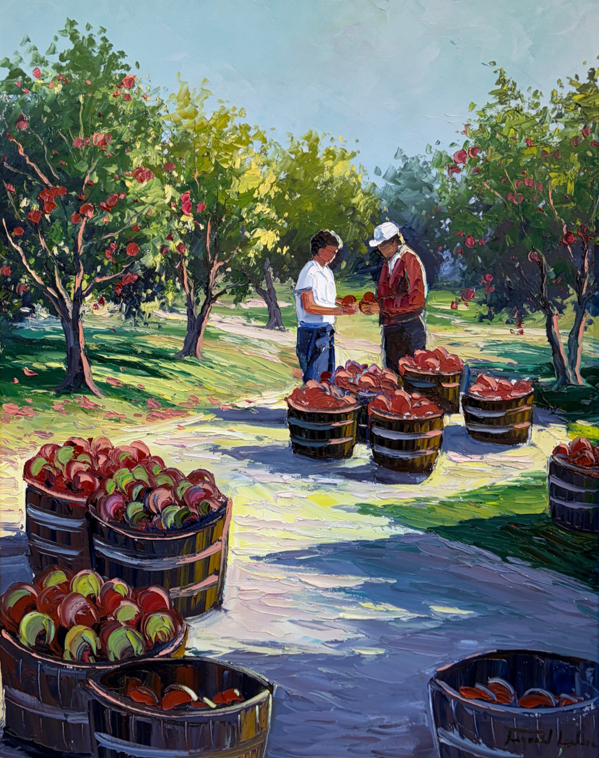 Cueillette des pommes