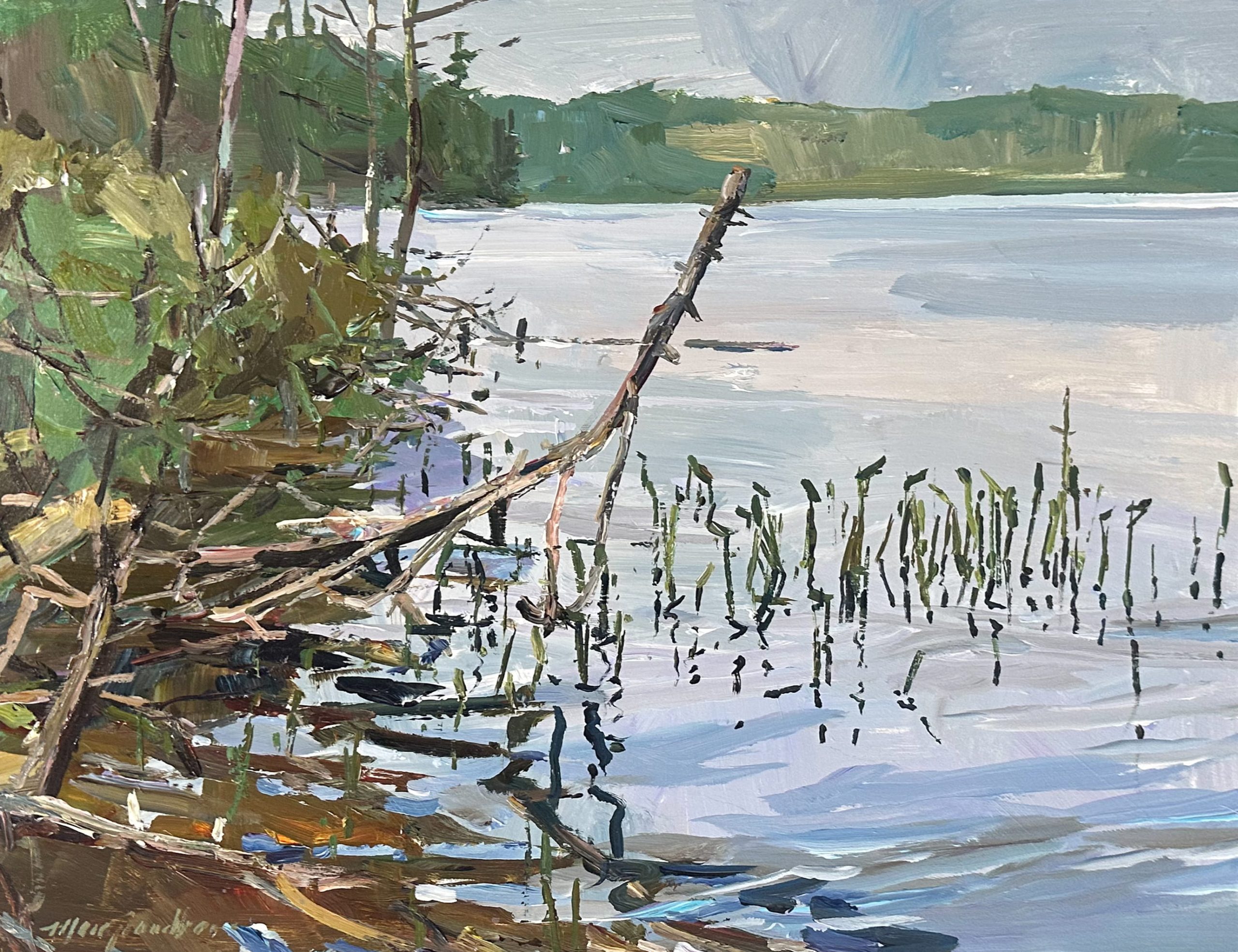 Troutspawn Lake, On
