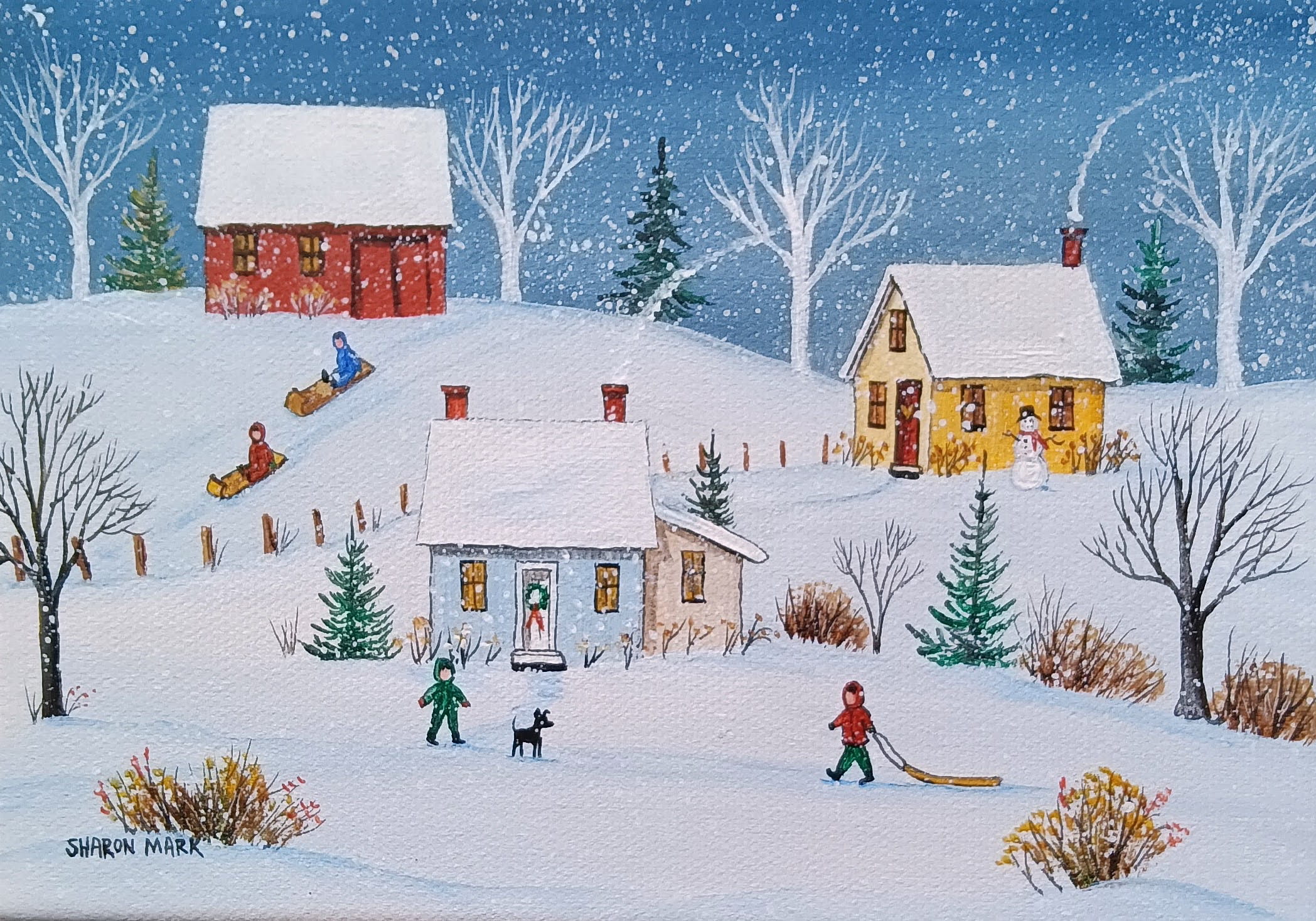 Snow Storm